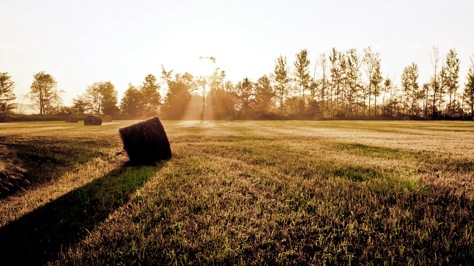 Ultra HD, 4K, Landscape, 61155447